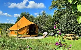 Bell Tent In Een Voedselbos